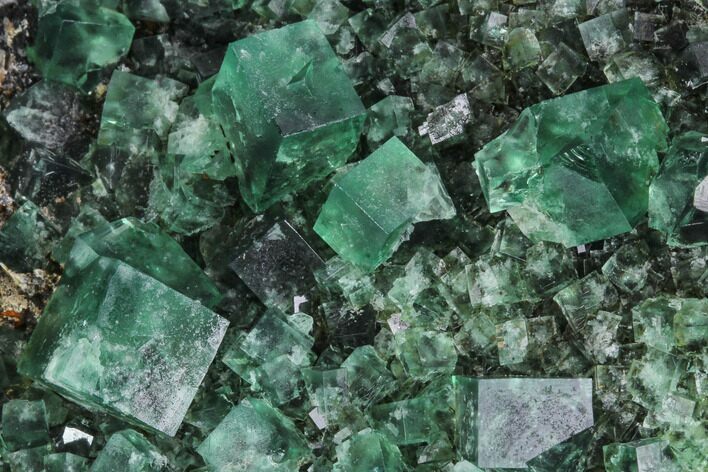 Fluorite Crystal Cluster - Rogerley Mine #99456